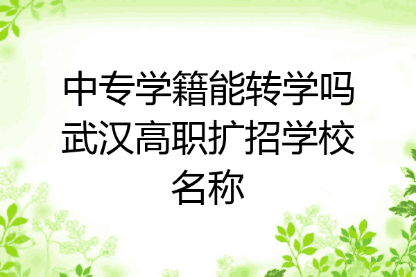 中专学籍能转学吗武汉高职扩招学校名称
