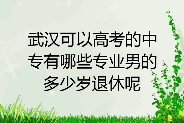 武汉可以高考的中专有哪些专业男的多少岁退休呢