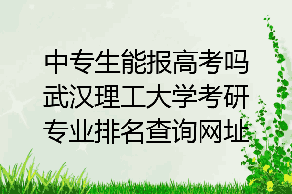 中专生能报高考吗武汉理工大学考研专业排名查询网址