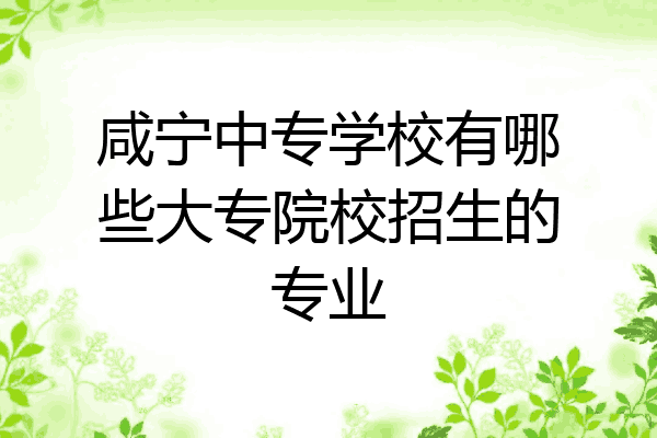 咸宁中专学校有哪些大专院校招生的专业