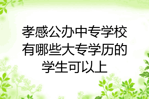 孝感公办中专学校有哪些大专学历的学生可以上