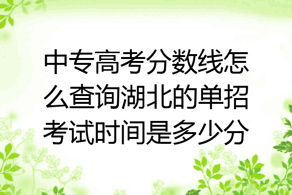 中专高考分数线怎么查询湖北的单招考试时间是多少分