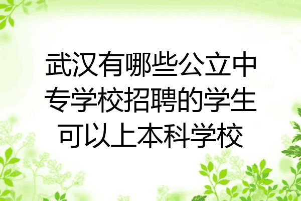 武汉有哪些公立中专学校招聘的学生可以上本科学校