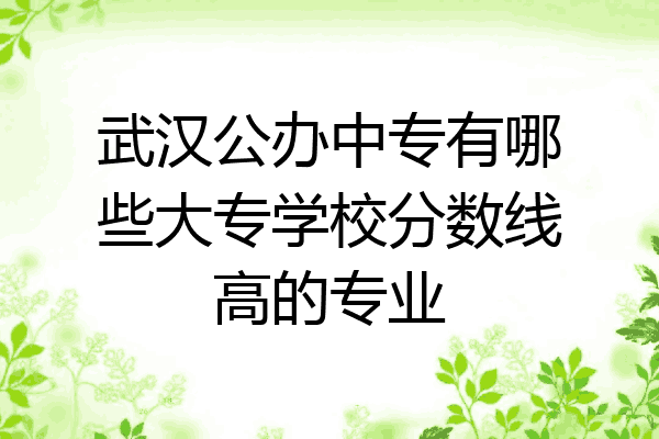 武汉公办中专有哪些大专学校分数线高的专业