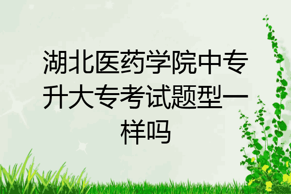 湖北医药学院中专升大专考试题型一样吗