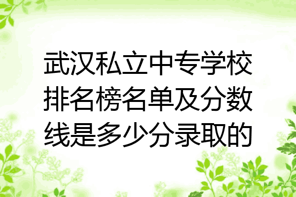 武汉私立中专学校排名榜名单及分数线是多少分录取的