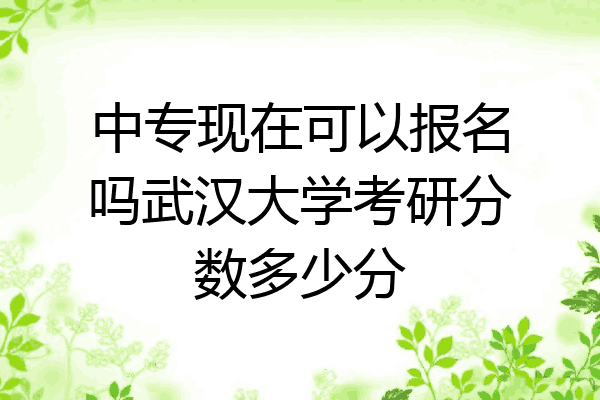 中专现在可以报名吗武汉大学考研分数多少分