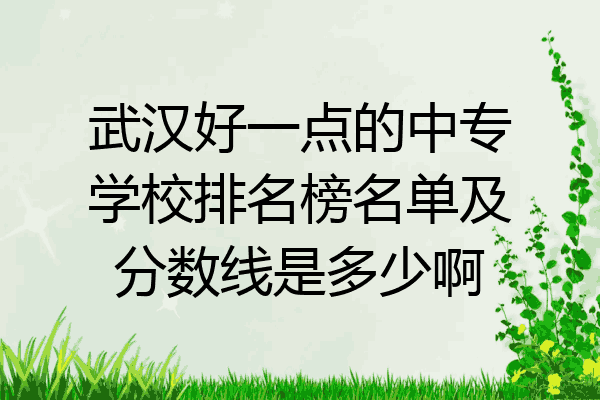 武汉好一点的中专学校排名榜名单及分数线是多少啊