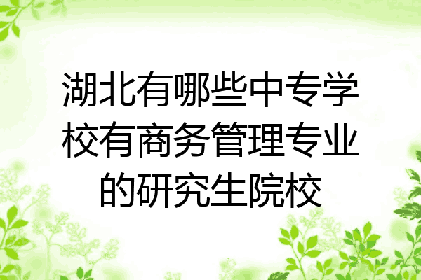 湖北有哪些中专学校有商务管理专业的研究生院校