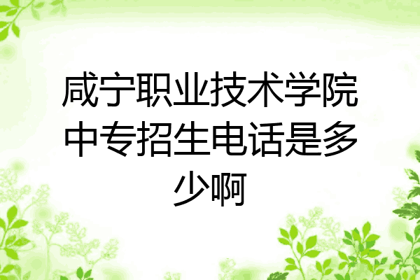 咸宁职业技术学院中专招生电话是多少啊
