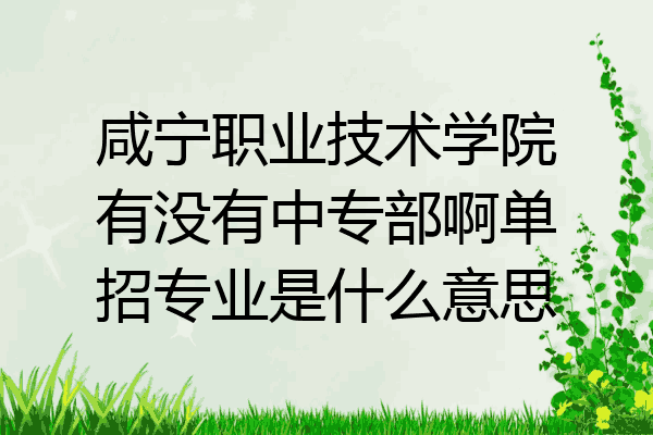 咸宁职业技术学院有没有中专部啊单招专业是什么意思