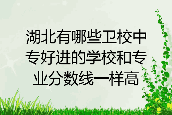 湖北有哪些卫校中专好进的学校和专业分数线一样高
