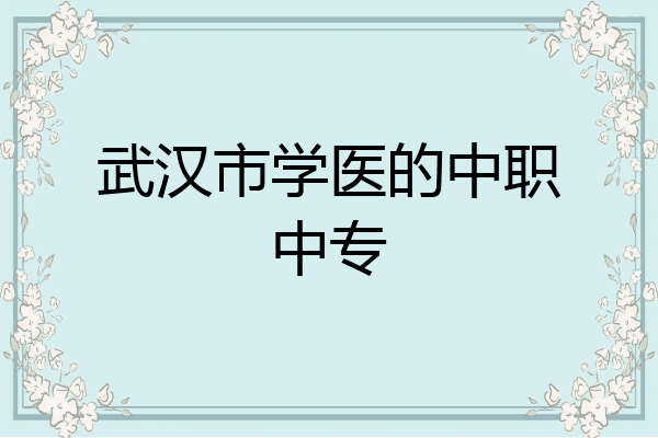 武汉市学医的中职中专