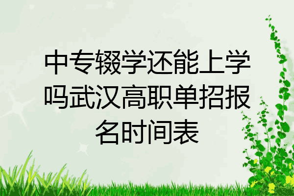 中专辍学还能上学吗武汉高职单招报名时间表