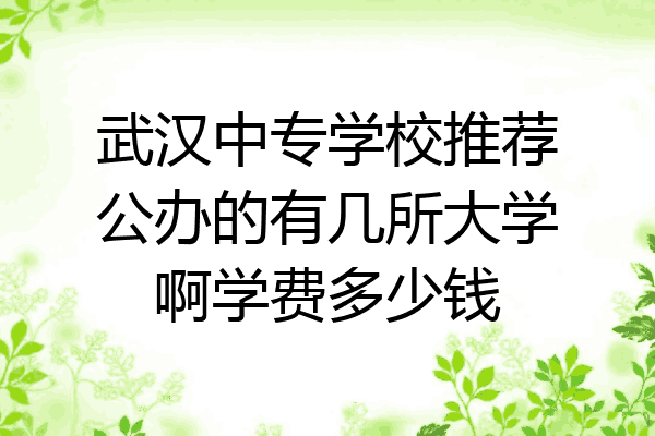 武汉中专学校推荐公办的有几所大学啊学费多少钱