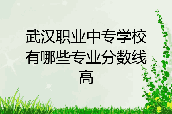 武汉职业中专学校有哪些专业分数线高