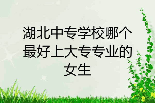 湖北中专学校哪个最好上大专专业的女生