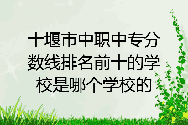 十堰市中职中专分数线排名前十的学校是哪个学校的