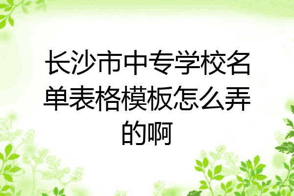 长沙市中专学校名单表格模板怎么弄的啊