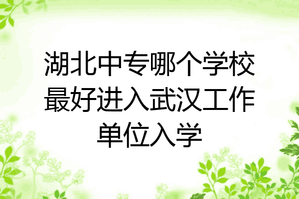 湖北中专哪个学校最好进入武汉工作单位入学