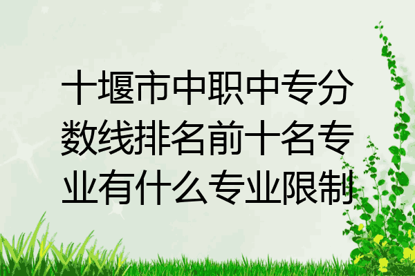 十堰市中职中专分数线排名前十名专业有什么专业限制