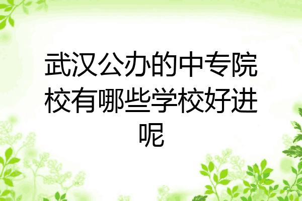 武汉公办的中专院校有哪些学校好进呢