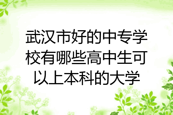 武汉市好的中专学校有哪些高中生可以上本科的大学