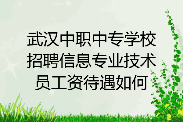 武汉中职中专学校招聘信息专业技术员工资待遇如何