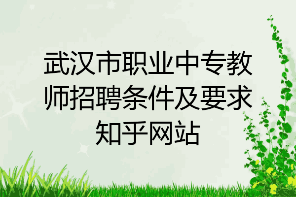 武汉市职业中专教师招聘条件及要求知乎网站