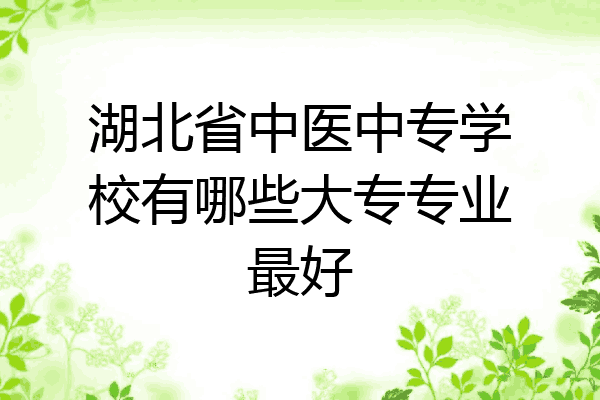 湖北省中医中专学校有哪些大专专业最好