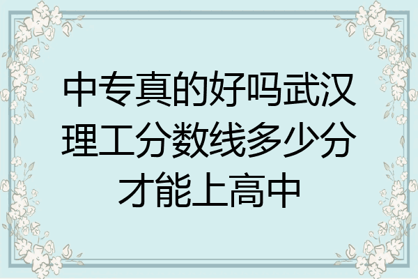 中专真的好吗武汉理工分数线多少分才能上高中