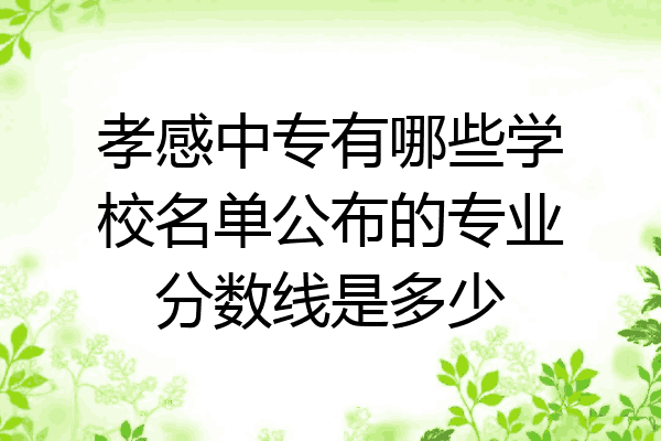 孝感中专有哪些学校名单公布的专业分数线是多少