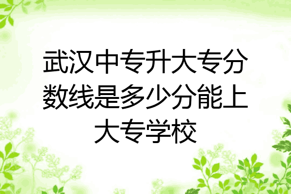 武汉中专升大专分数线是多少分能上大专学校