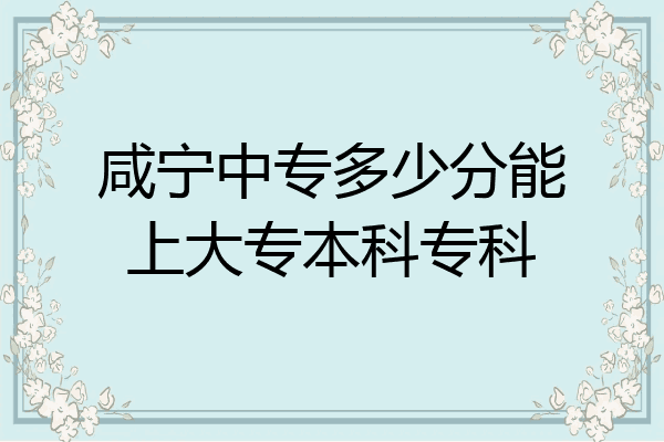 咸宁中专多少分能上大专本科专科