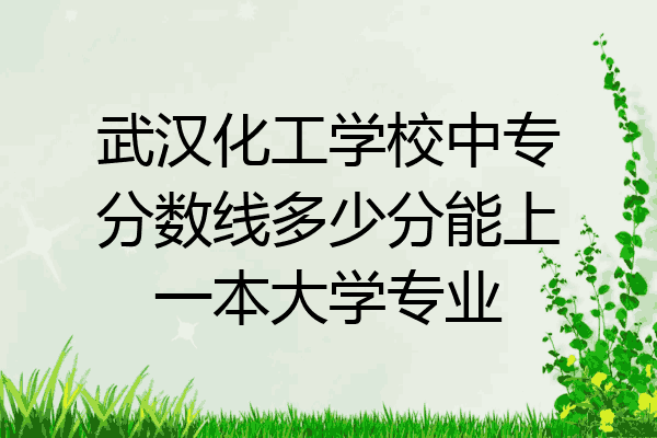 武汉化工学校中专分数线多少分能上一本大学专业