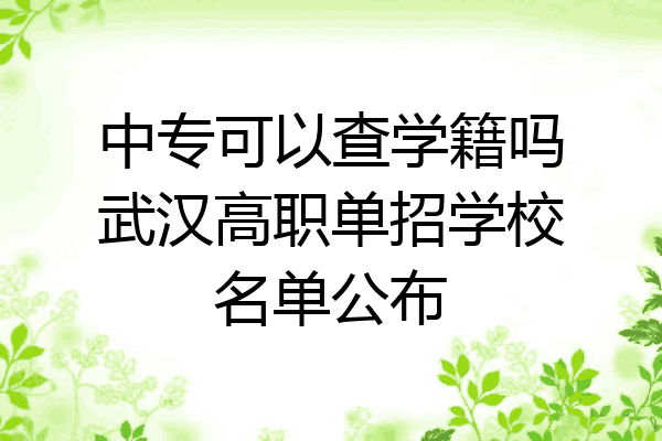 中专可以查学籍吗武汉高职单招学校名单公布