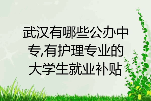 武汉有哪些公办中专,有护理专业的大学生就业补贴