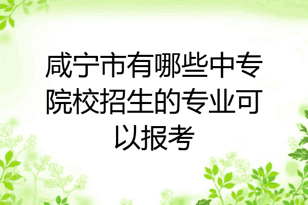 咸宁市有哪些中专院校招生的专业可以报考