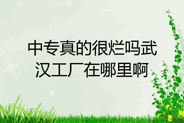 中专真的很烂吗武汉工厂在哪里啊