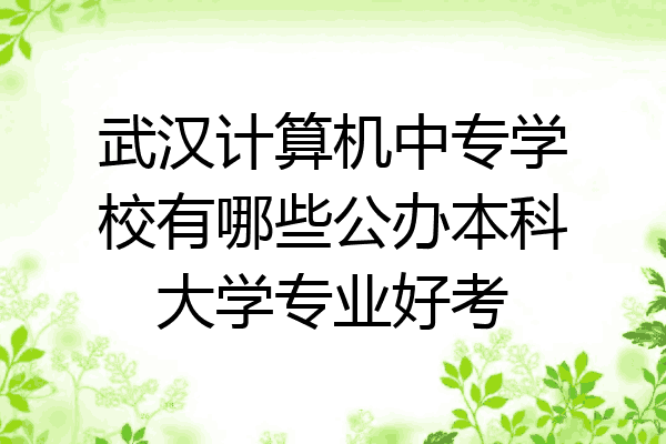 武汉计算机中专学校有哪些公办本科大学专业好考