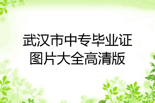 武汉市中专毕业证图片大全高清版