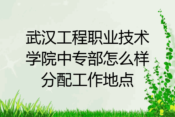 武汉工程职业技术学院中专部怎么样分配工作地点