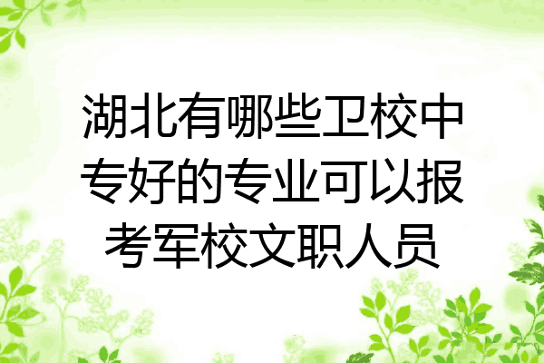 湖北有哪些卫校中专好的专业可以报考军校文职人员