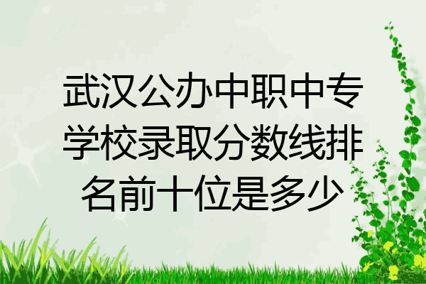 武汉公办中职中专学校录取分数线排名前十位是多少