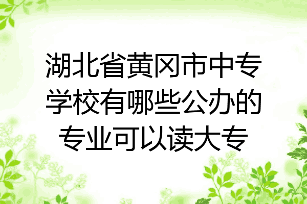 湖北省黄冈市中专学校有哪些公办的专业可以读大专