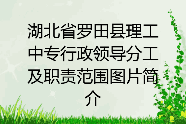 湖北省罗田县理工中专行政领导分工及职责范围图片简介