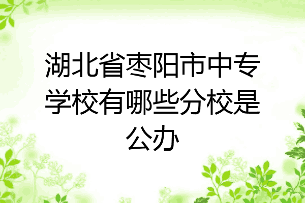湖北省枣阳市中专学校有哪些分校是公办