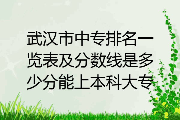 武汉市中专排名一览表及分数线是多少分能上本科大专