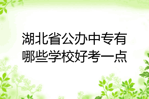 湖北省公办中专有哪些学校好考一点