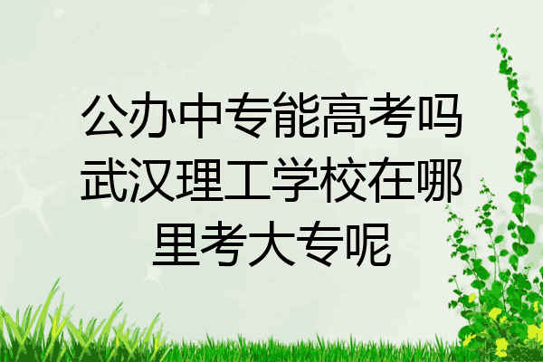 公办中专能高考吗武汉理工学校在哪里考大专呢